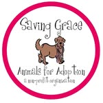 savinggracenc profile picture