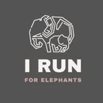 savingtheelephantsrun profile picture