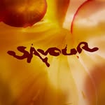 savour.duo profile picture