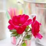 sayed25627 profile picture