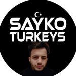 saykoturkeys profile picture