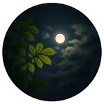 sayyed_official_110 profile picture