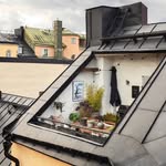 scandinavianhomes profile picture