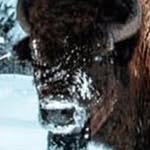 scanuck profile picture