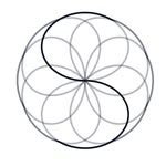 scapewellness profile picture