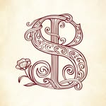 scarlet.begonia profile picture