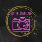 scatto_landscape profile picture