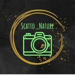 scatto_nature profile picture