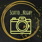 scatto_night profile picture