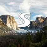 scenic___serendipity profile picture