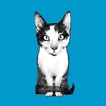 schilt_publishing profile picture
