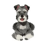 schnauzerstagrams profile picture
