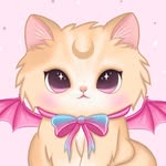 schtimmer profile picture