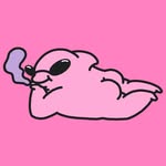 scifu___ profile picture