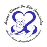 scilfoundation profile picture