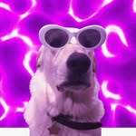 scott.balancing.things profile picture