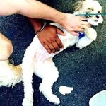 scottzo profile picture