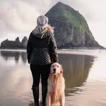 scoutgoldenretriever profile picture