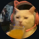 scsarcasms profile picture