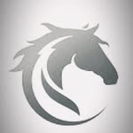 scuderie.baroni profile picture