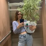 sdmvictoria profile picture