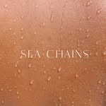 seachainsz profile picture