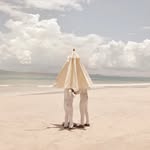 seanfennessy profile picture