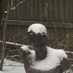 seanfwoods profile picture
