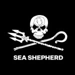 seashepherd profile picture