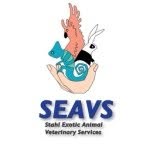 seavsonline profile picture