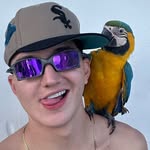 sebastiancdn profile picture