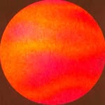 secallenyang profile picture