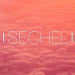 sechelpr profile picture