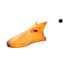 seducktive profile picture