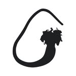 seebamboes profile picture
