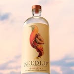 seedlipdrinks profile picture
