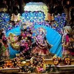 seema1222175 profile picture