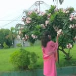 seema__patel__4668 profile picture
