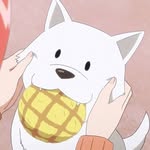 seeseesama profile picture