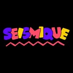 seismique profile picture