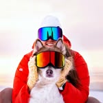 sejsejlija profile picture