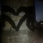 selene_aleman1621 profile picture