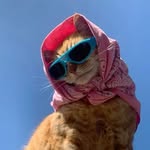 selflovencaree profile picture