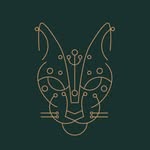 selvatikobogota profile picture