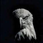 sendy_marschello profile picture