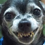 seniorpeabody profile picture