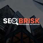 seobrisk profile picture