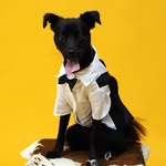 seoktan_coal profile picture