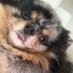 serenabecker_ profile picture