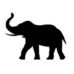 serendipitywildlifefoundation profile picture